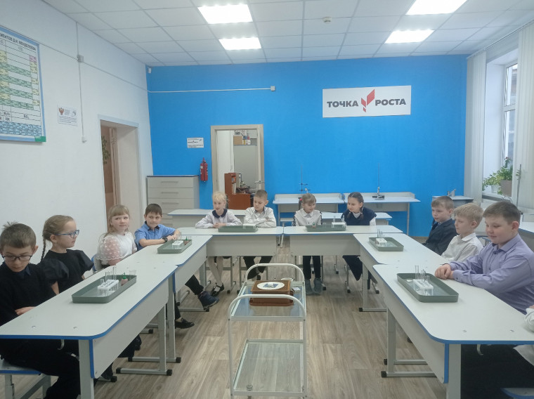 «Путешествие в мир науки».